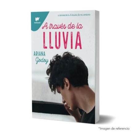 imagen de portada del Libro A través de la lluvia Trilogía Hermanos Hidalgo libro 3